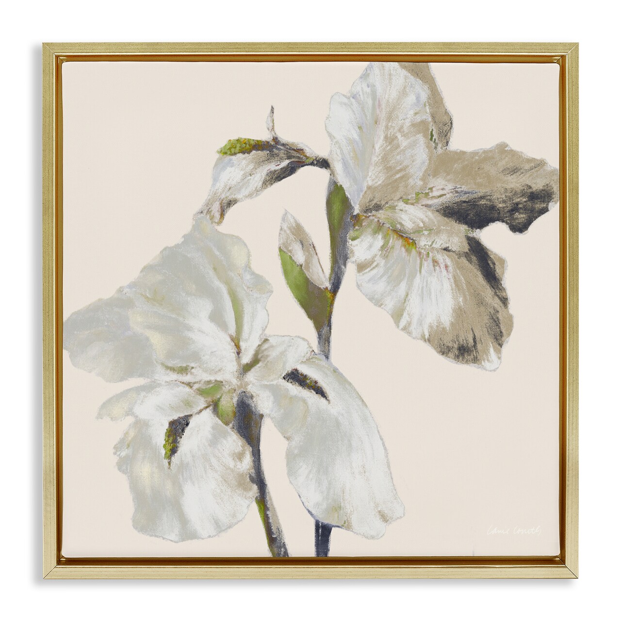 Stupell Industries Irises Soft Beige Floating Frame, design by Lanie Loreth